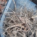 제환농장 이미지