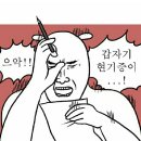 광안리 방파제 이미지