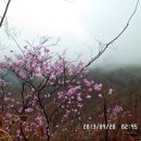 마이종합학습장 이미지