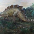 스테고사우루스-1 | 스테고사우루스(Stegosaurus)