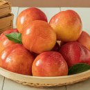 안기농장 이미지