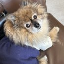 카페네이비 이미지