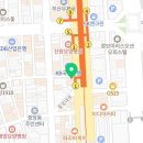 부산강아지분양 고양이분양 베스트펫 본점 이미지