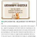 홍익메디칼동물병원 | 슬개골 외과진료 국내최고 장재영외과동물병원