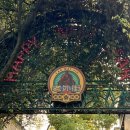 스페이스 와이지 이미지