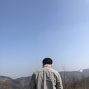 동일장 이미지