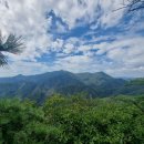 중원-100 이미지