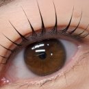 더(The) 예쁨 이미지