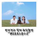 파주애견동반스튜디오 웨딩촬영 이쁘게 잘 찍는 곳 뽀꼬포토스튜디오