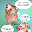 쿠타오 이미지