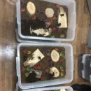 정주농장 이미지