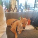 심바스튜디오 이미지