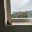 바이신산 이미지