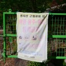 도대1교