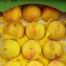 태우농장 이미지