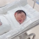 UR(파주시)-[금바위로]-하-12 | 파주 운정 와이즈병원 제왕절개(임당) 입원 후기(유착방지,페인,무통,다인실)