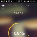허니돈 이미지