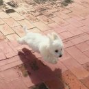 드럼연주B | 그때 드럼은요, 완전히 불타올라요! / 연극 &lt;온 더 비트&gt; 후기 / 250901