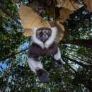 가작농장 이미지