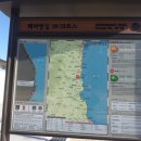 해파랑길 19코스 영덕 블루로드 D 이미지