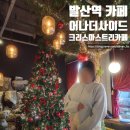 어나더 제주 | 발산역 카페 어나더사이드, 서울 크리스마스 트리 카페