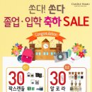 캔들나무 이미지