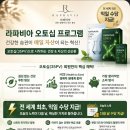 라파 - 창원시 마산합포구 비포길 61 | 라파