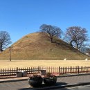 은우농장 | [경주 황리단길 맛집] 도미, 풍기(버섯) 피자&amp;바질 파스타 추천(주차장)