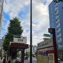 스피드메이트이가점 | 2510 도쿄여행 Day2, 비오는 날 오다이바와 도쿄 시내 돌아다니기