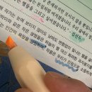 (주)저스트클릭 | 모리스, 뚜껑 없는 혁명! JUSTCLICK Prime 형광펜 M MILD 실사용 후기 (형광펜추천)