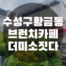 더미소짓다 이미지