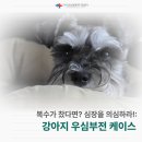 온천동물병원 이미지
