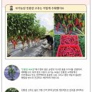 순정농장 이미지