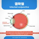 오르소한의원 이미지