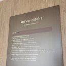 서울 파라스파라 부대시설 꿀팁(휘트니스,수영장 루프탑자쿠지,사우나,웰컴커피)