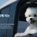 펫택시 이미지