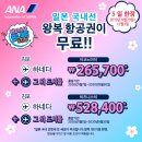 ANA항공, 특가프로모션 이미지