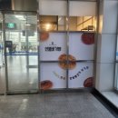 바오밥 이미지
