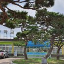 이화초교 정문 이미지