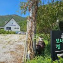 보니타정원 이미지