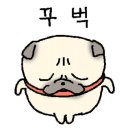 제이엠.핏 이미지