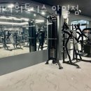 스테디 휘트니스(안일점) 이미지