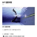 배방파인트리수영장 이미지