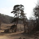 영풍두월리약사여래석불 | 오계서원 답사