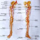 당신의 혈관이 깨끗해야 하는 이유 이미지