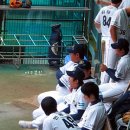 상삼 이미지