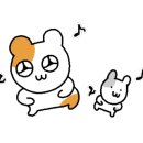 그루밍154 이미지