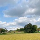 애견가을농장 이미지