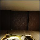 카스카디아 골프클럽 | [홍천] 카스카디아cc 골프클럽 : 국내 럭셔리 골프장! 코스정보 및 가격정보