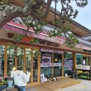 구학리 산채관광 마을 | 올해 최고 맛집!! 오대산 원조 산채정식 맛집 오대산 산촌(feat.고양이가 귀여운 맛집!)